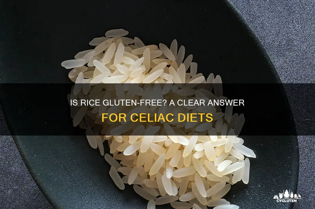 is rice gluten-free