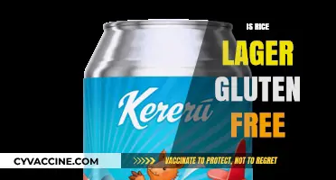 Is Rice Lager Gluten-Free? Exploring the Facts for Beer Lovers