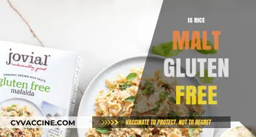 Is Rice Malt Gluten-Free? A Comprehensive Guide to Safe Consumption
