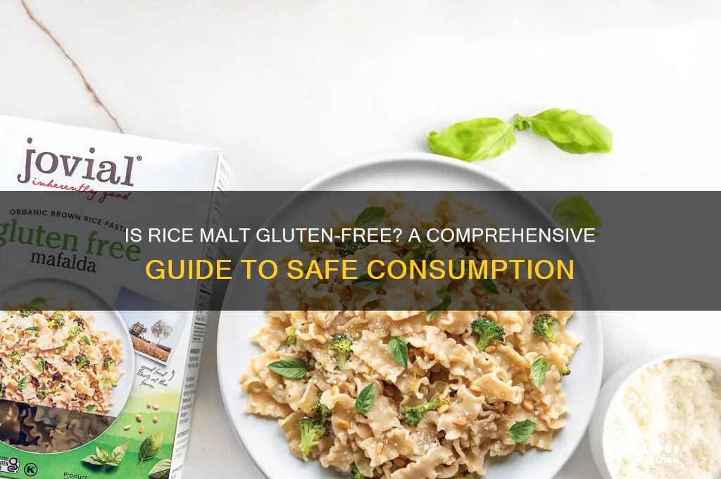 is rice malt gluten free