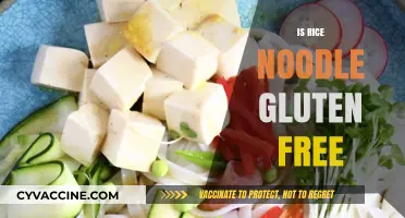 Are Rice Noodles Gluten-Free? A Comprehensive Guide for Celiacs