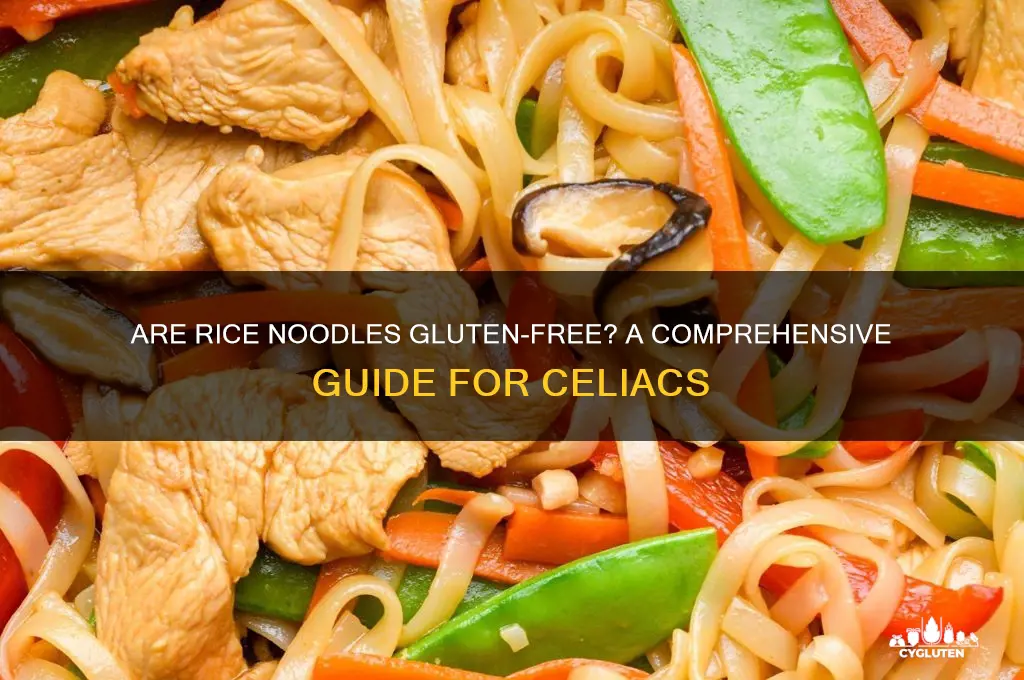 is rice noodle gluten free