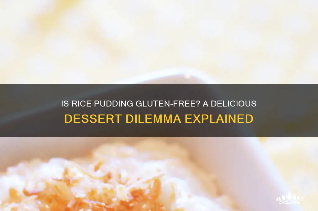 is rice pudding gluten free