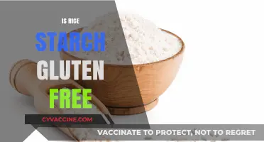 Is Rice Starch Gluten-Free? A Clear Answer for Your Diet