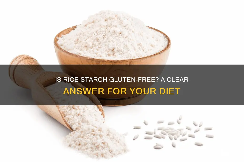 is rice starch gluten free