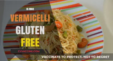 Is Rice Vermicelli Gluten Free? A Clear Answer for Celiacs