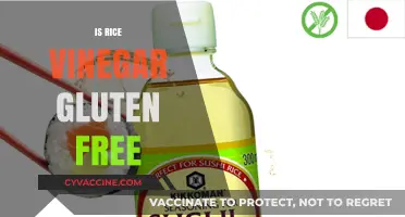 Is Rice Vinegar Gluten-Free? A Clear Answer for Your Diet