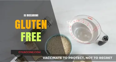 Is Rice-A-Roni Gluten-Free? Unraveling the Truth for Celiac Diets