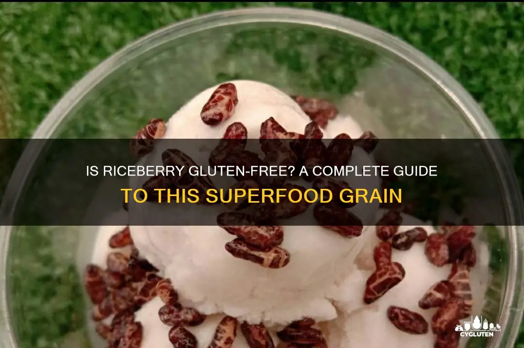 is riceberry gluten free