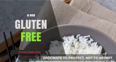 Is Rice Gluten-Free? Unraveling the Truth for a Healthy Diet