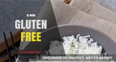 Is Rice Gluten-Free? A Clear Answer for Celiac and Gluten-Sensitive Diets