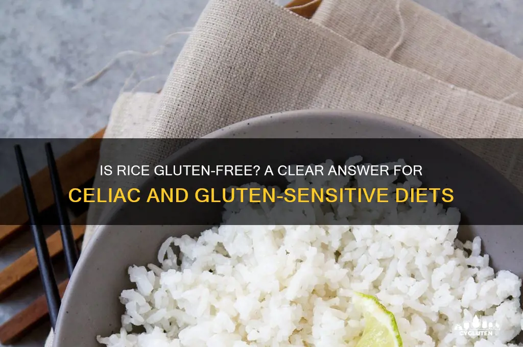 is ricw gluten free