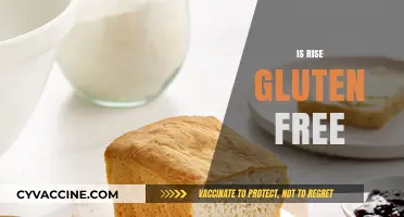Is Rise Gluten Free? Uncovering the Truth About This Popular Product