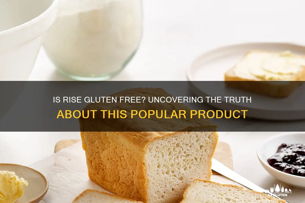 is rise gluten free