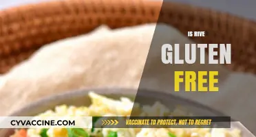 Is Rive Gluten-Free? A Comprehensive Guide to This Popular Dish