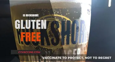 Is Rockshore Gluten-Free? A Complete Guide to Your Beer Choice