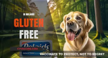Is Rolaids Gluten-Free? A Comprehensive Guide for Celiac Sufferers