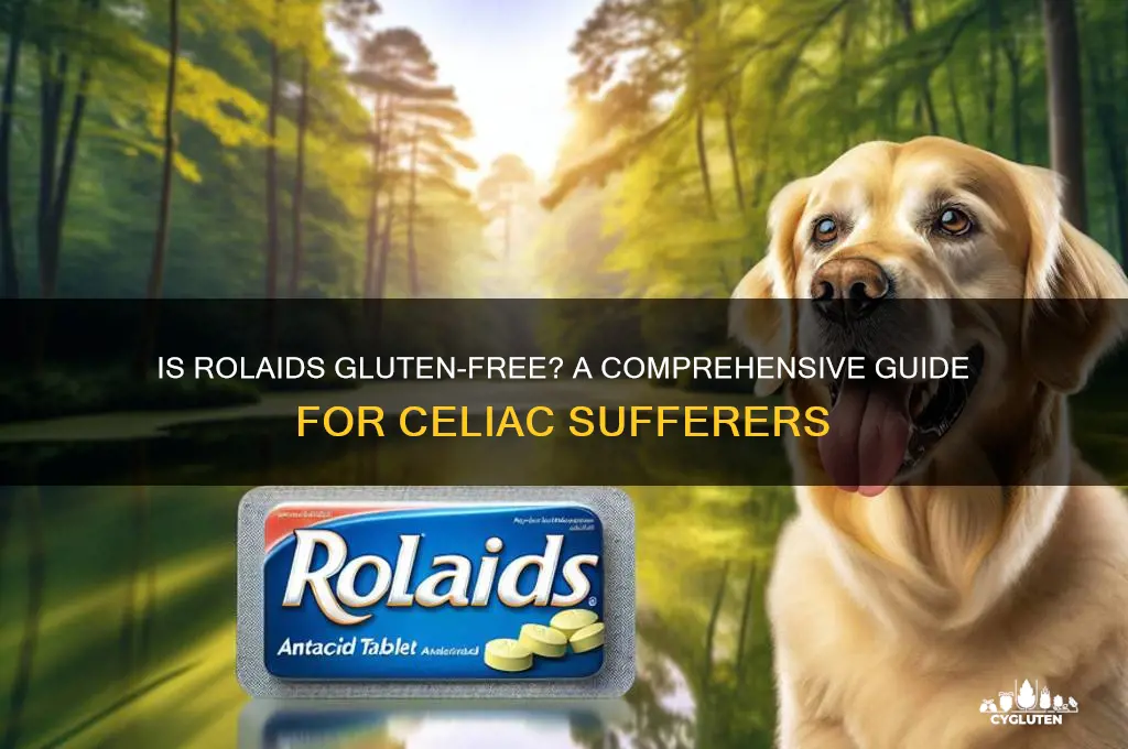is rolaids gluten free