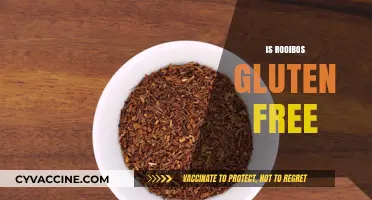 Is Rooibos Tea Gluten-Free? A Comprehensive Guide for Celiacs