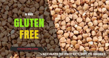 Is Ruce Gluten-Free? Unraveling the Truth About This Grain