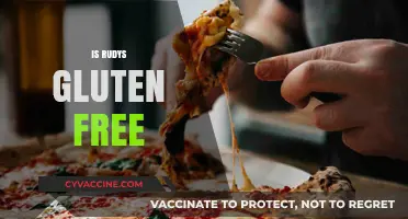 Is Rudy's Gluten-Free? A Complete Guide to Their Menu Options