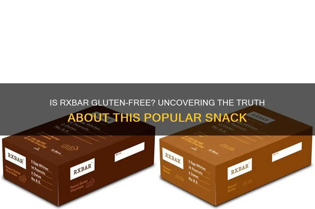 is rxbar gluten free