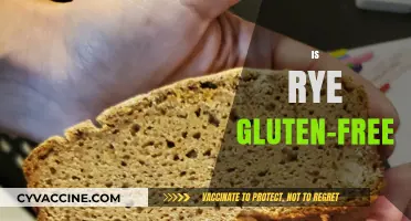 Is Rye Gluten-Free? Unraveling the Truth for Celiac Diets