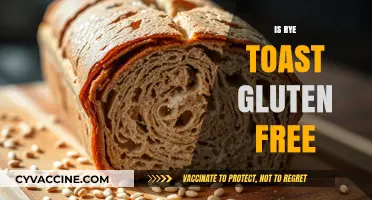 Is Rye Toast Gluten-Free? Understanding Rye and Gluten Content