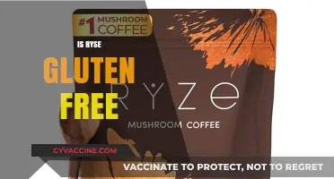 Is Ryse Gluten-Free? A Comprehensive Guide to Their Products
