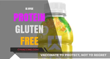 Is Ryse Protein Gluten-Free? A Complete Guide for Fitness Enthusiasts