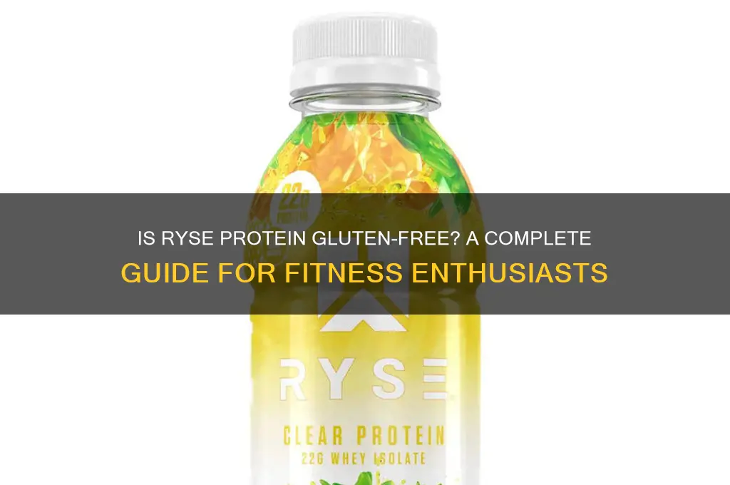 is ryse protein gluten free