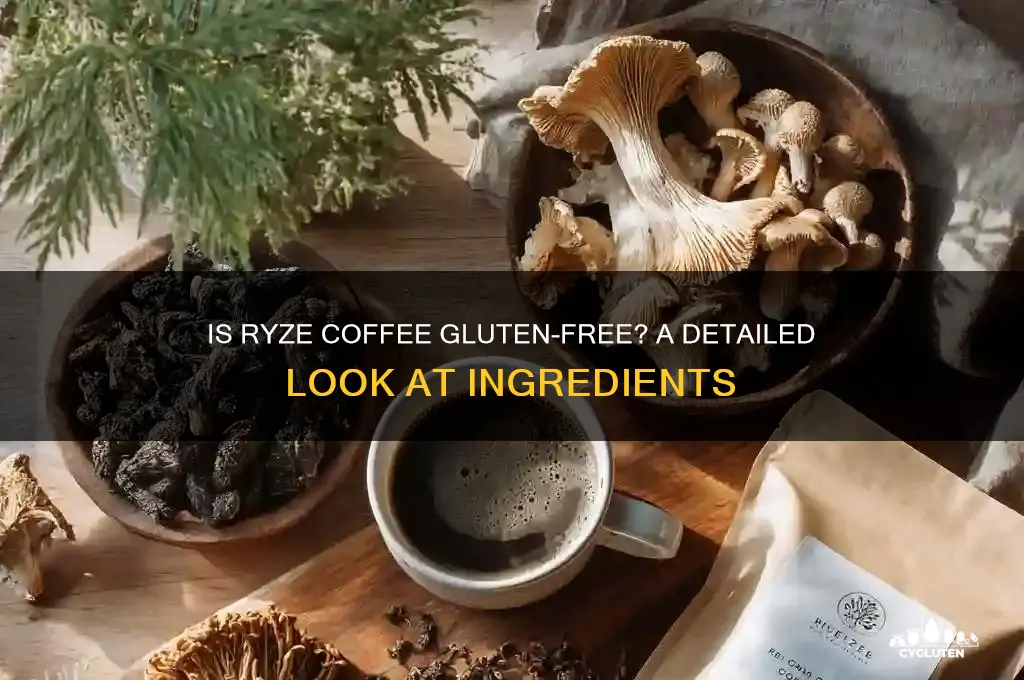 is ryze coffee gluten free