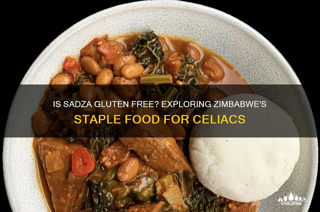is sadza gluten free