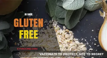 Is Sage Gluten Free? A Complete Guide to Sage and Gluten