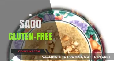 Is Sago Gluten-Free? A Clear Answer for Celiac Diets