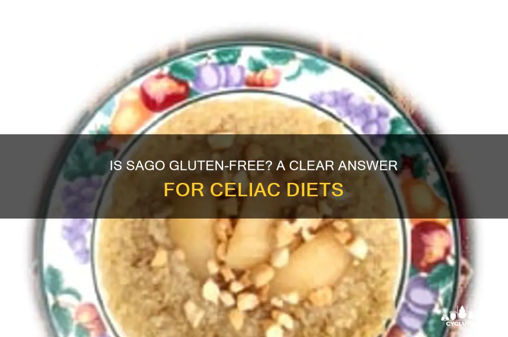 is sago gluten-free