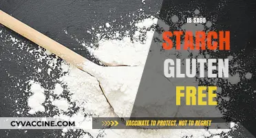 Is Sago Starch Gluten-Free? A Comprehensive Guide for Celiacs