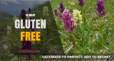 Is Salep Gluten Free? A Comprehensive Guide to This Unique Ingredient