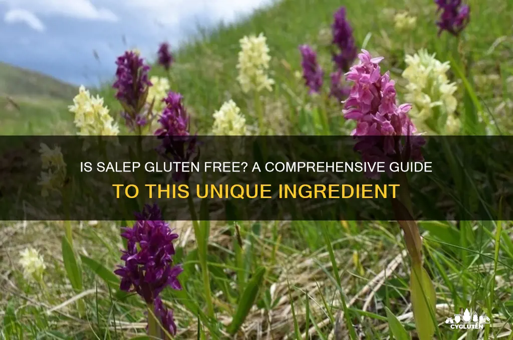is salep gluten free