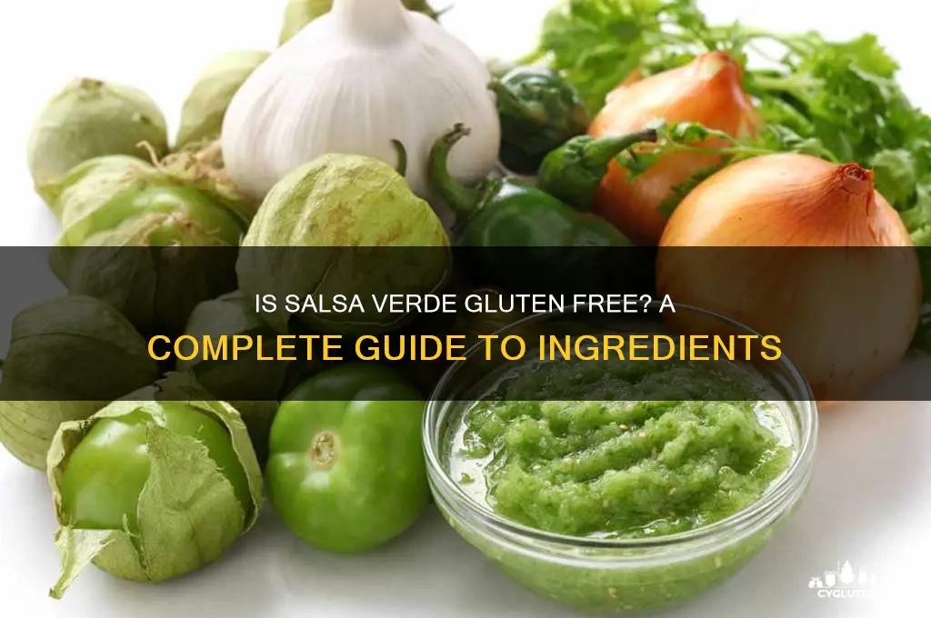 is salsa verde gluten free