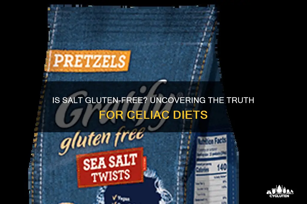is salt gluten-free