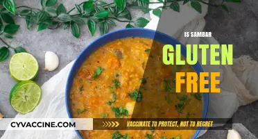 Is Sambar Gluten-Free? A Comprehensive Guide to This South Indian Dish