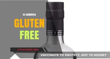 Is Sambuca Gluten-Free? A Guide to Safe Drinking Choices