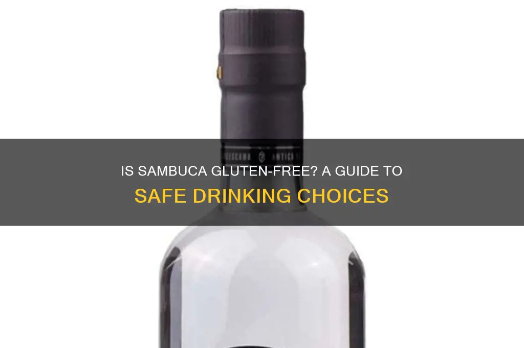 is sambuca gluten free
