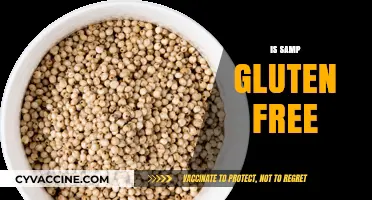 Is Samp Gluten-Free? A Comprehensive Guide to This Ancient Grain