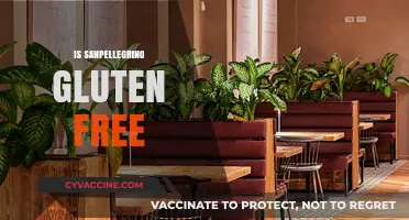 Is Sanpellegrino Gluten-Free? A Comprehensive Guide to Your Favorite Beverage