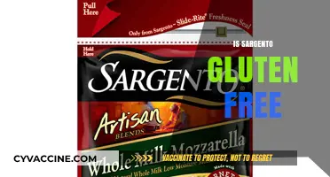 Is Sargento Cheese Gluten-Free? A Complete Guide for Cheese Lovers