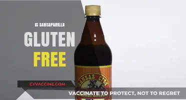 Is Sarsaparilla Gluten-Free? Exploring the Root Beer Alternative