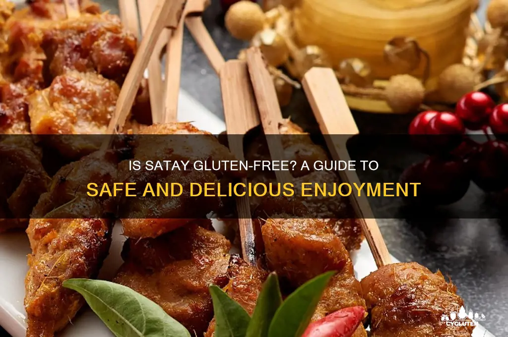 is satay gluten free