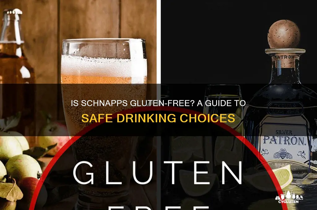 is schnapps gluten-free